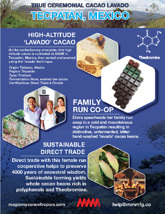 100% PURE Ceremonial Unfermented Direct Trade Cacao "Lavado" de Tecpatán, MX